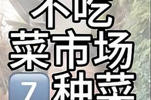 阿里纳斯谈历史前5分卫：乔丹、科比、艾弗森、韦德、哈登